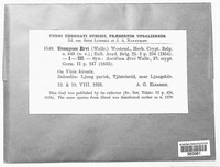 Image Associated With the Occurence